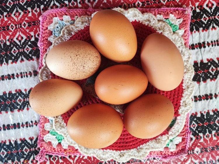 Salara Farmhouse 코페르 외부 사진